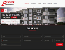 Tablet Screenshot of ereglieksper.com